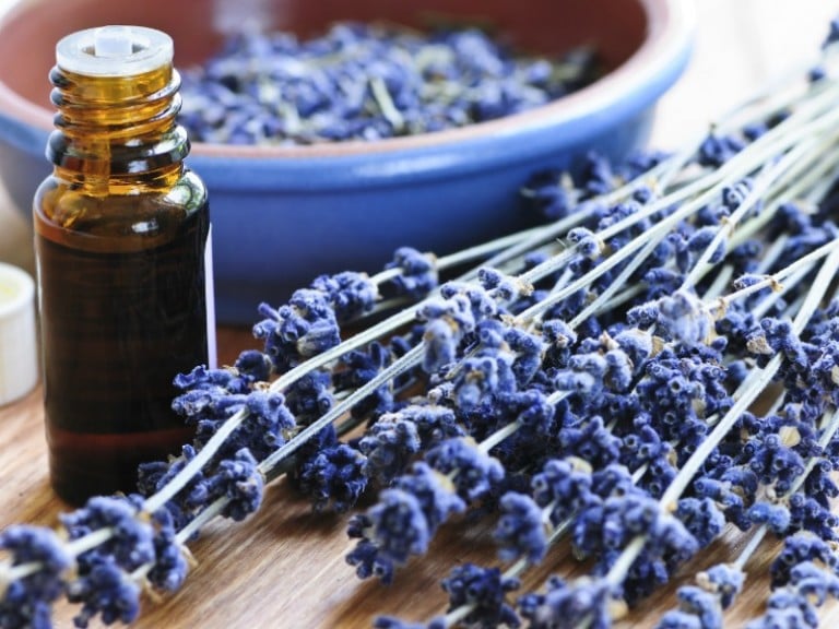 Essential oils are amazing when it comes to stress and stress relief, and there are plenty of ways to work them into your routine. You can steam and inhale them, take a bath with them, spray them on your skin or pillows – and that’s just the tip of the iceberg! Certain essential oils, like lavender and jasmine, are known to relieve stress and send your body into major relaxation. Check out our favorite essential oils for stress, and enjoy some much-needed calm and relaxation!