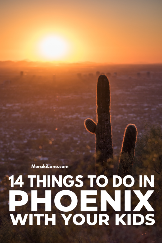 14 Things To Do with Kids in Phoenix