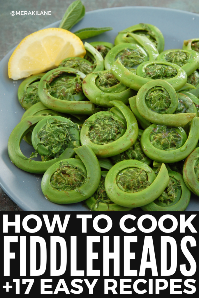 17 Healthy Fiddlehead Recipes You Need to Try | Also known as "fiddlehead greens" and "fiddlehead ferns", this vegetable is most common in Northern France, Asia, and Native America. They're a great source of omega-3s and fiber, and have twice the antioxidants of blueberries! But how do you prepare and cook them? We're sharing allllll the details in this post, along with our favorite healthy and easy to make fiddlehead recipes.